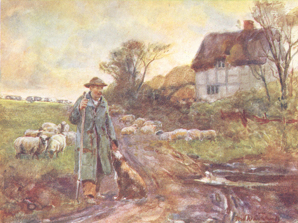 WARCS. Beggarly Broom 1916 old antique vintage print picture